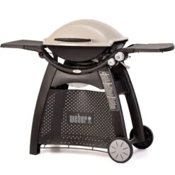 Weber Family Q3100 -Camping Promotion Store 3100
