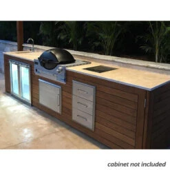 Weber Family Q3600 Built-In -Camping Promotion Store 3600 3 copy