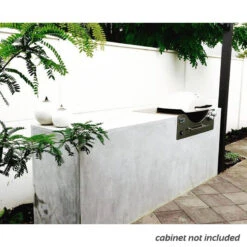 Weber Family Q3600 Built-In -Camping Promotion Store 3600 4 copy