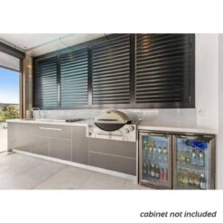 Weber Family Q3600 Built-In -Camping Promotion Store 3600 5 copy