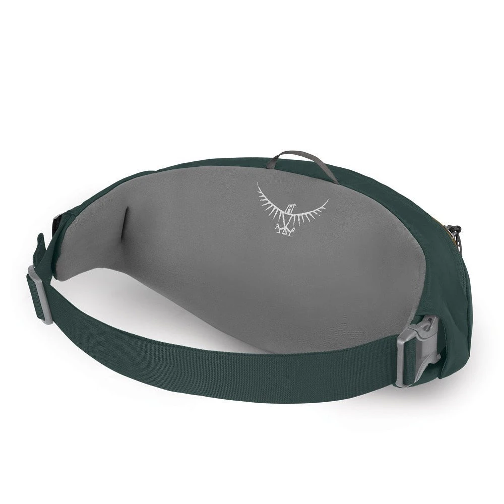 Osprey Daylite Waist Pack 4 Osprey Daylite Waist Pack - Image 2