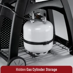 Weber Family Q3200 Premium Red -Camping Promotion Store fam3 a2f4b5d6 4c7a 466d 9ce8 44e1cefd3940