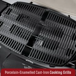 Weber Family Q3100 -Camping Promotion Store fam4 37be7434 9098 4312 9737 73a5ceb3c221