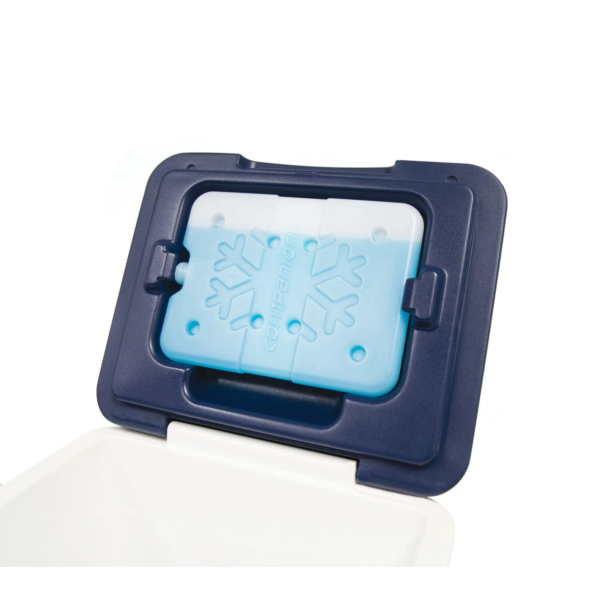 Companion 7L Hard Cooler 4 Companion 7L Hard Cooler - Image 2