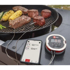 Weber IGrill 2 Bluetooth Thermometer -Camping Promotion Store igrill2