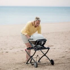 Weber Q Portable Cart -Camping Promotion Store portable3