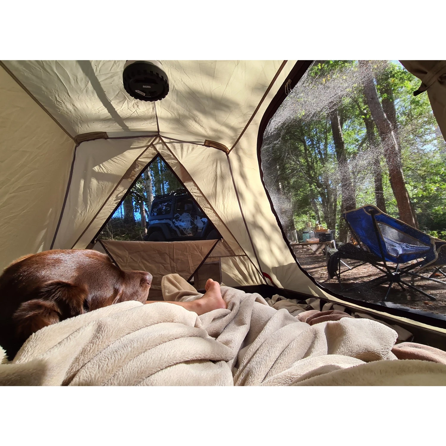 Coleman Instant Swagger 2P Tent 8 Coleman Instant Swagger 2P Tent - Image 6